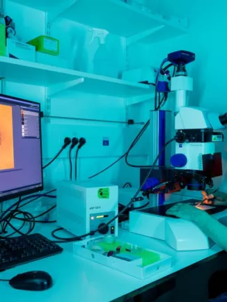 Reportage dans l'unité Mort cellulaire et homéostasie des épithéliums (Institut Pasteur, Paris)