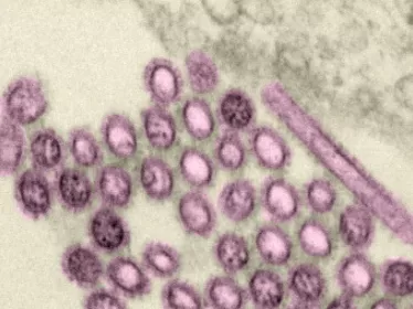 Cours pasteur virus émergents