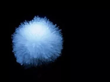 Cryo