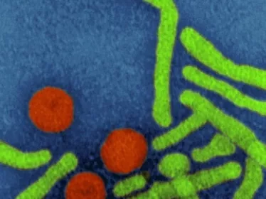 Virologie
