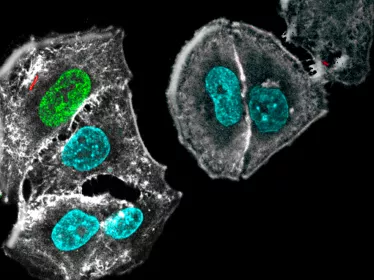 Département Génomes et génétique - Institut Pasteur