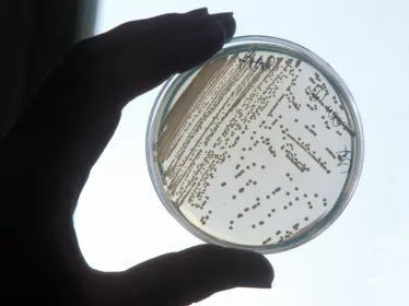 Santé publique - CRBIP - Dépôt de souches au CRBIP - Institut Pasteur