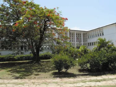 Guyane - Institut Pasteur