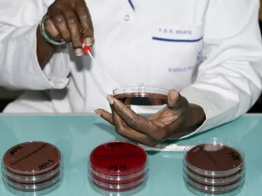 Résistance antibiotique - Réseau international des instituts Pasteur