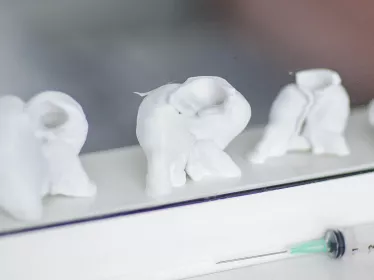Droite / gauche : une histoire de cœur - Institut Pasteur