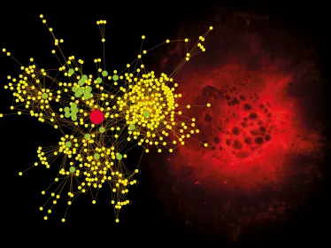Recherche vaccinale - Institut Pasteur