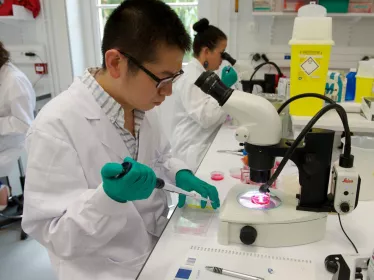 Institut Pasteur