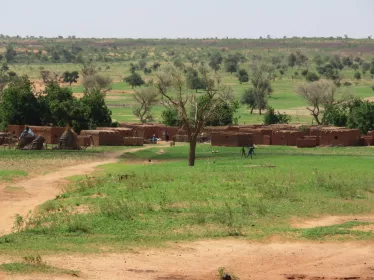 Afrique - Institut Pasteur