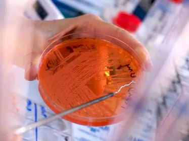 Sanofi - Institut Pasteur Awards