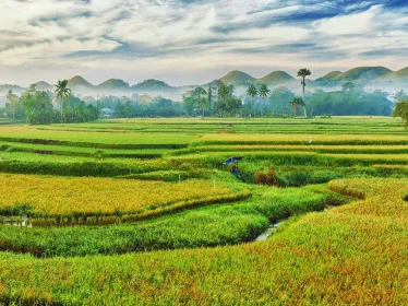 Philippines recommandations au voyages - Institut Pasteur