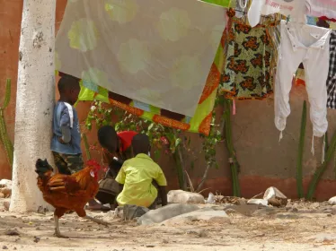 Volailles - Enfants - Sénégal - Institut Pasteur