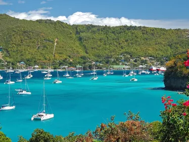 Préparer son voyage pour Saint-Vincent-et-les-Grenadines - Recommandations Institut Pasteur