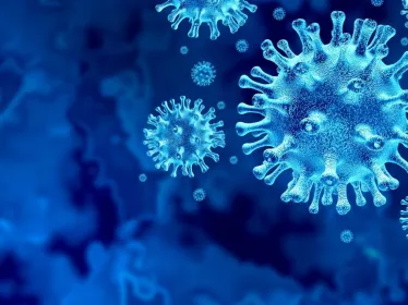 Une équipe internationale de chercheurs a identifié des vulnérabilités communes aux coronavirus SARS-CoV-2, SARS-CoV-1 et MERS-CoV 