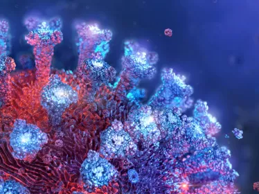 Covid and immune system
