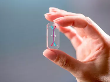 organ-on-chip