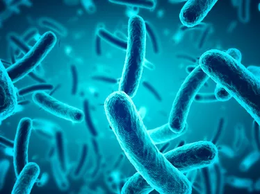 Graduate School Antimicrobial Resistance (AntiRes) Photo ©Adobe Stock