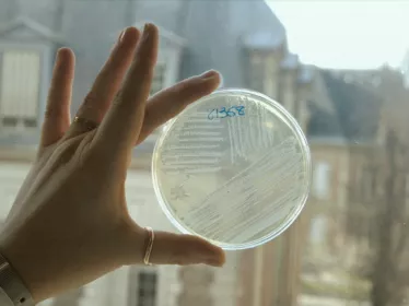 Institut Pasteur