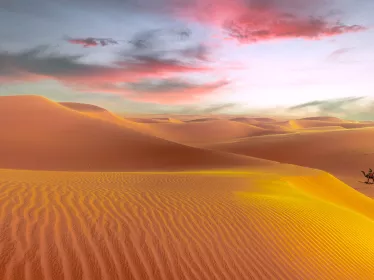 Photo illustrative de l'Arabie Saoudite, desert