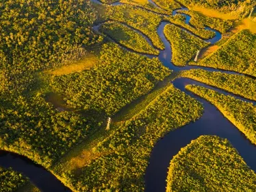 Photographie illustrative, Gabon