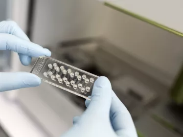 Reportage projet LabEx Milieu Intérieur © Thomas LANG 2020 / Institut Pasteur