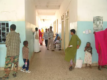 Paludisme : la prise en charge des malades du paludisme à Plasmodium falciparum mise en péril dans la Corne de l’Afrique