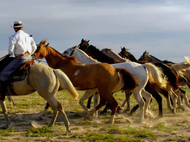 Photo illustrative Uruguay