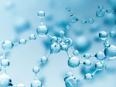 La biosynthèse des centres à fer-soufre
