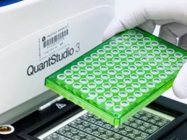 Photo de manip en laboratoire