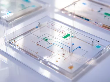 A transparent microfluidic device with integrated channels for fluid manipulation and analysis in lab-on-a-chip applications.