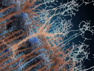 Néo-neurone activé par la lumière