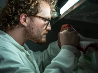 Reportage dans l'unité Arbovirus et Insectes Vecteurs (AIV). Phase aquatique de l’élevage de moustiques : observation des larves.