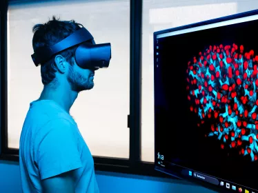 Un chercheur doctorant de l’unité de Décision et processus Bayesiens observe avec un casque de réalité virtuelle une image microscopique de poumon de souris prise en microscopie Light-sheet. L'image est visualisée à l'aide du logiciel DIVA qui est un logiciel d'imagerie permettant d'interagir en VR avec des images volumiques au format tiff et Dicom. Cette technologie permet d'offrir à des cliniciens des outils de visualisation pour la planification chirurgicale et la compréhension de données volumiques.
