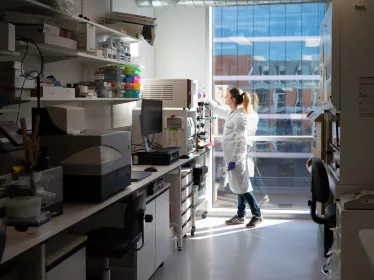 Reportage dans la plate-forme de criblage chémogénomique et biologique (PF-CCB)