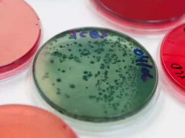 Reportage à l'Institut Pasteur du Maroc, Casablanca, en 2019.