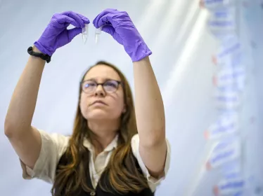 Reportage dans le laboratoire Mécanismes de l’hérédité épigénétique. 