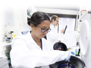 laboratoire 