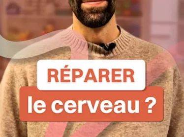 Réparer le cerveau