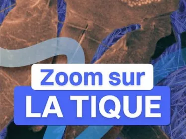 Zoom sur la tique