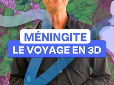 Méningite : le voyage en 3D