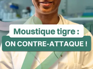Moustique tigre : on contre-attaque