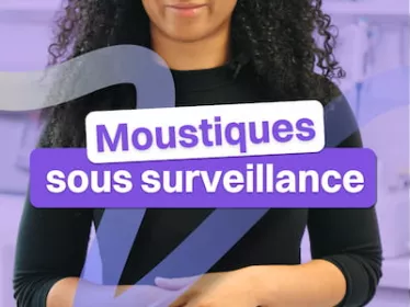 Moustiques sous surveillance