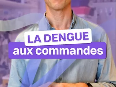 La dengue aux commandes