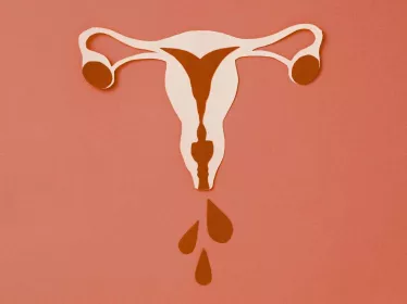 Schéma appareil reproducteur féminin