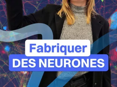 Fabriquer des neurones
