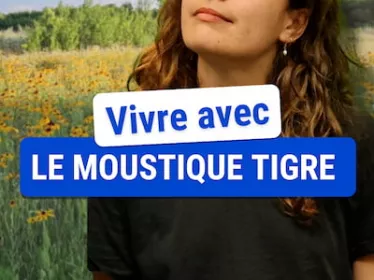Vivre avec le moustique tigre