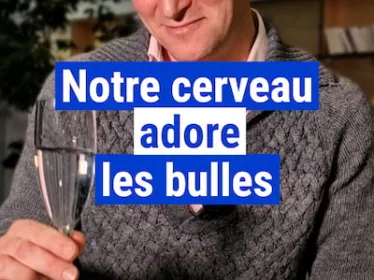 Notre cerveau adore les bulles