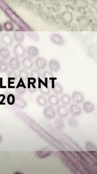 Covid-19 : What we have learnt as of 20 February 2020 - Institut Pasteur