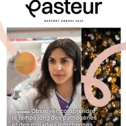 Rapport annuel 2025
