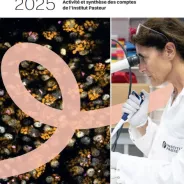 Couverture du document "L'Essentiel" 2025 (activité et synthèse des comptes de l'Institut Pasteur)
