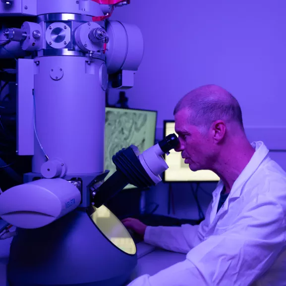 Plateforme de bioimagerie ultrastructurale (UBI)